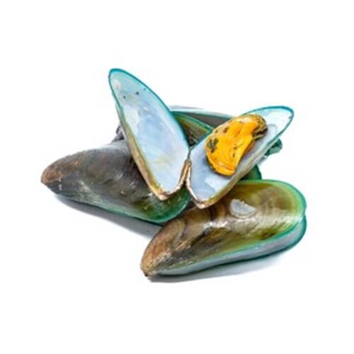 Green Mussel
(Kuchki)
