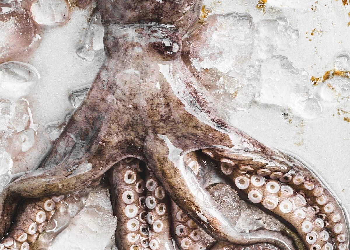 OTHER SEAFOOD