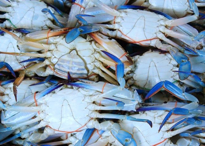 CRABS