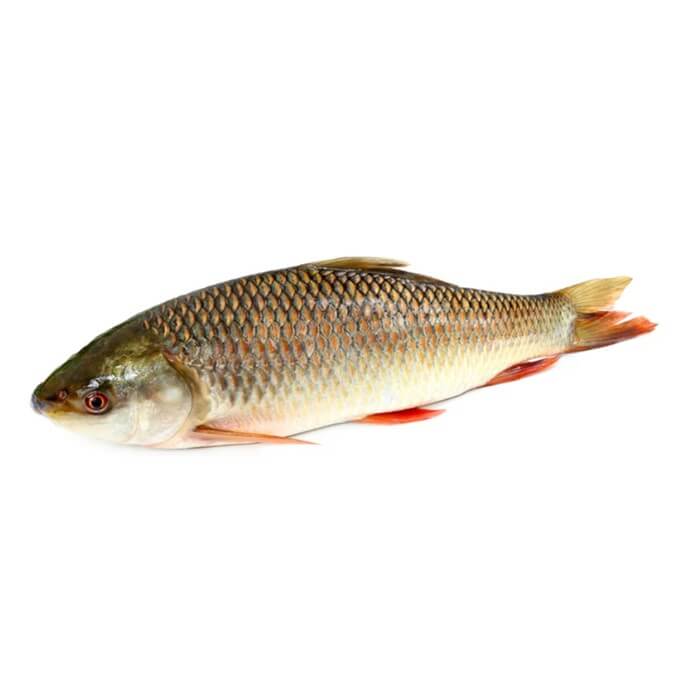 Rahu (Rohu)