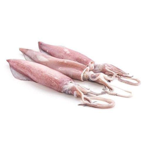 Squid-Calamari

(Maiyya)
